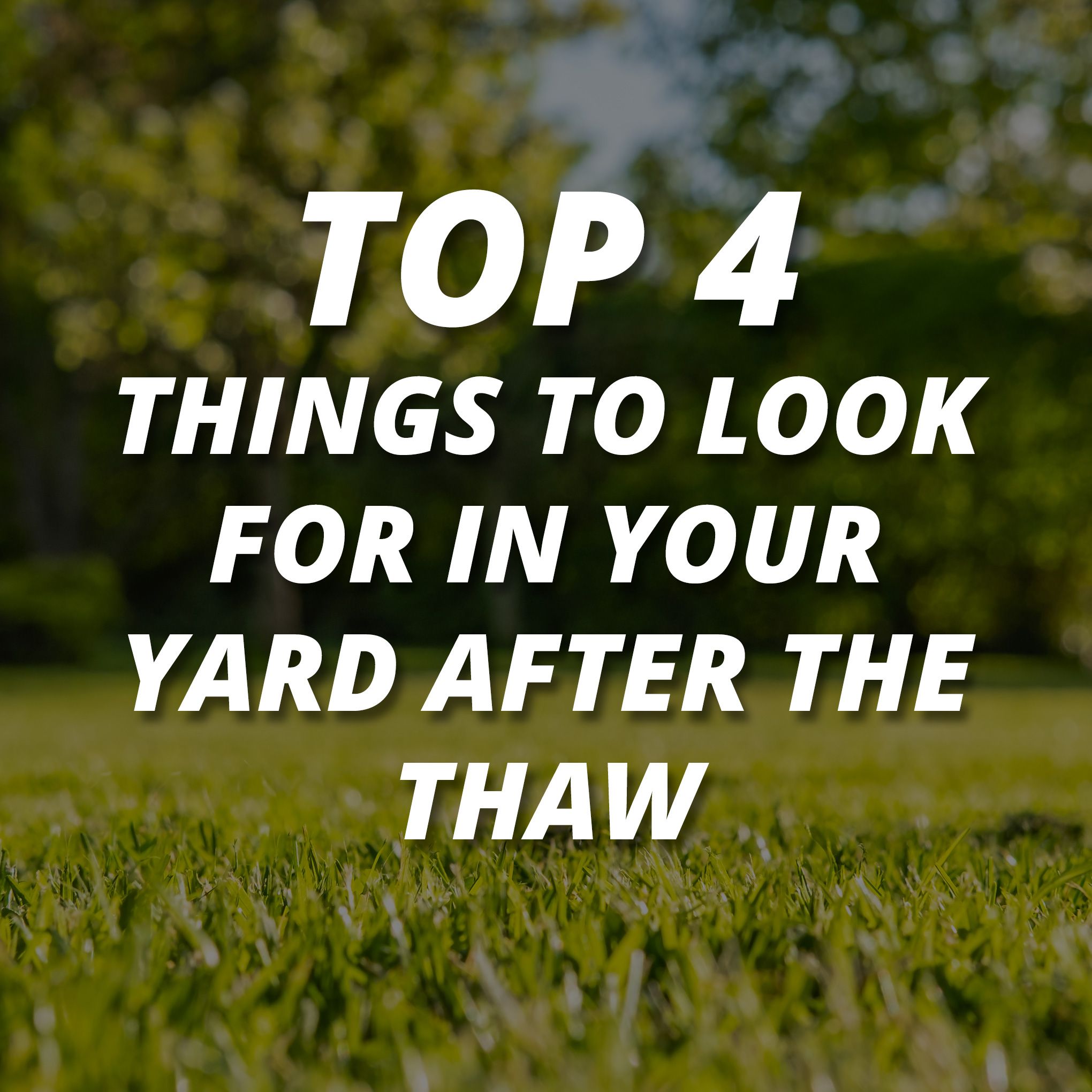 getting-your-yard-ready-for-the-summer